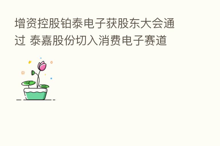 增资控股铂泰电子获股东大会通过 泰嘉股份切入消费电子赛道