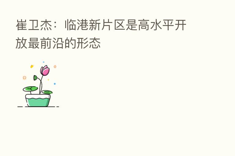 崔卫杰：临港新片区是高水平开放   前沿的形态