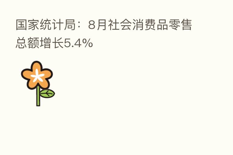 国家统计局:8月社会消费品零售总额增长5.4%