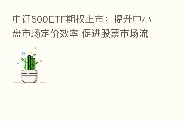中证500ETF期权上市:提升中小盘市场定价效率 促进股票市场流动性平稳