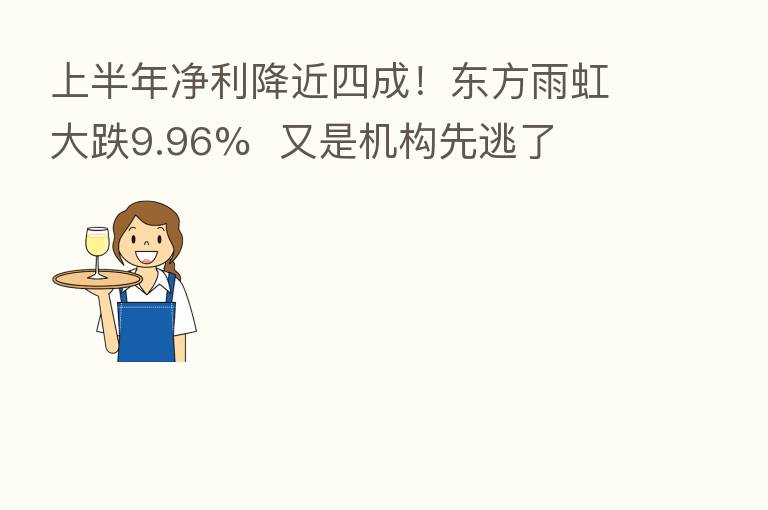 上半年净利降近四成!东方雨虹大跌9.96% 又是机构先逃了