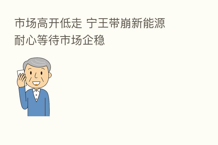 市场高开低走 宁王带崩新能源 耐心等待市场企稳