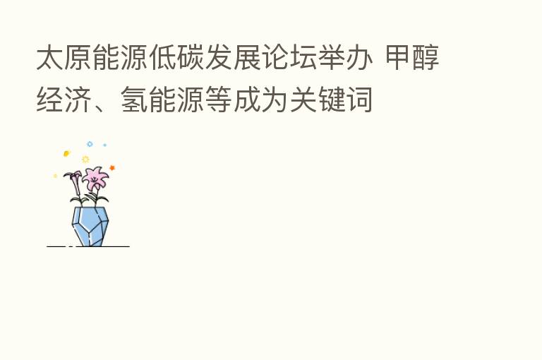 太原能源低碳发展论坛举办 甲醇经济、氢能源等成为关键词