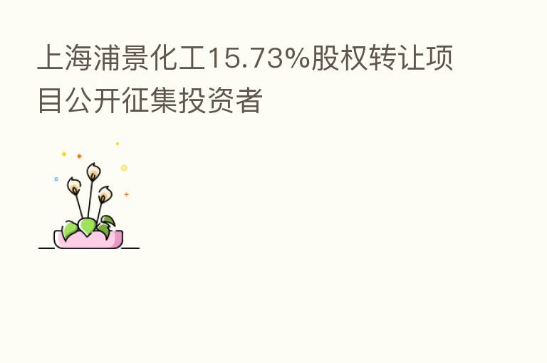 上海浦景化工15.73%股权转让项目公开征集投资者