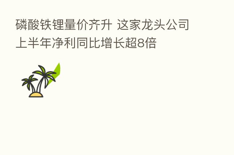 磷酸铁锂量价齐升 这家龙头公司上半年净利同比增长超8倍