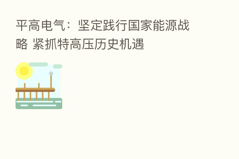 平高电气：坚定践行国家能源战略 紧抓特高压历史机遇