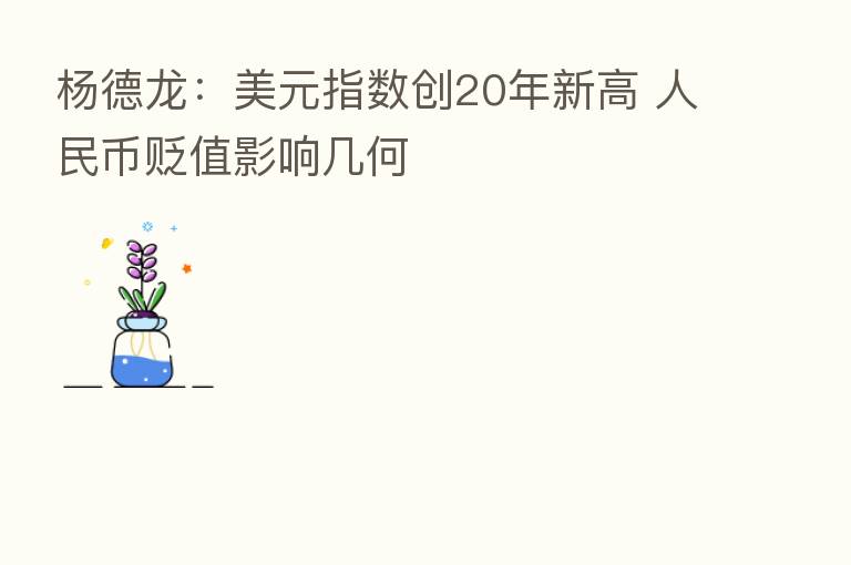 杨德龙:美元指数创20年新高 人民币贬值影响几何