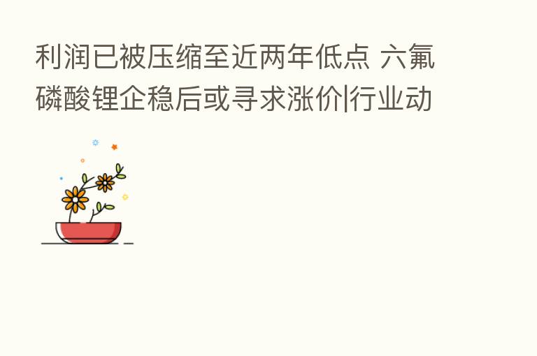 利润已被压缩至近两年低点 六氟磷酸锂企稳后或寻求涨价|行业动态