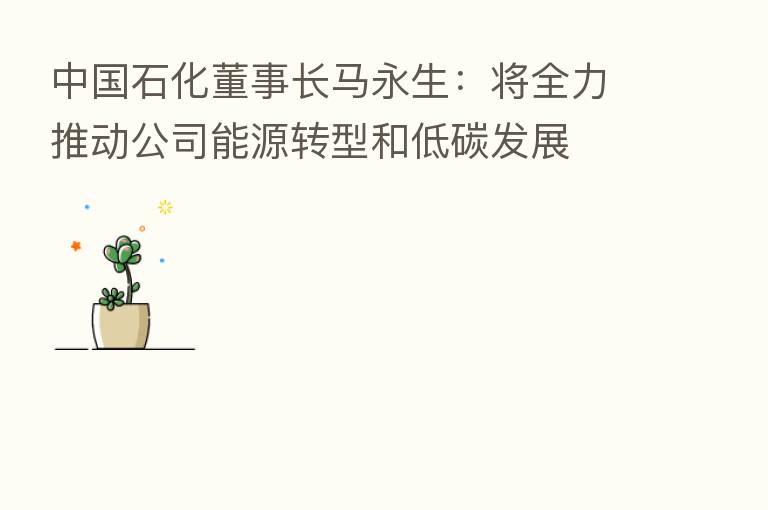 中国石化董事长马永生：将全力推动公司能源转型和低碳发展