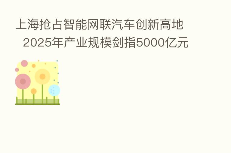 上海抢占智能网联汽车创新高地  2025年产业规模剑指5000亿元