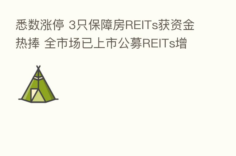 悉数涨停 3只保障房REITs获资金热捧 全市场已上市公募REITs增至17只