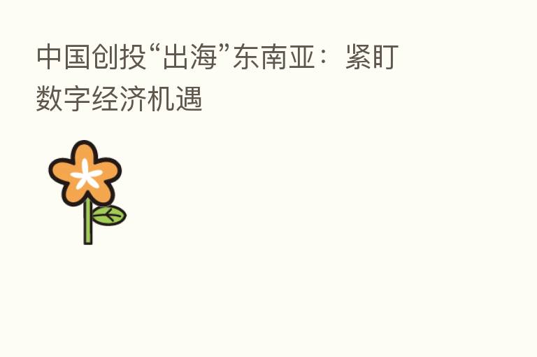中国创投“出海”东南亚：紧盯数字经济机遇