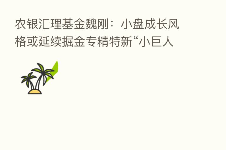 农银汇理基金魏刚:小盘成长风格或延续掘金专精特新“小巨人”