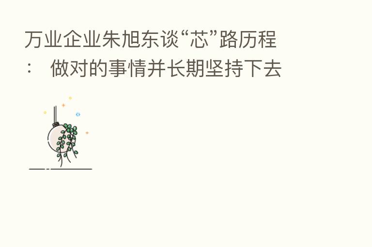 万业企业朱旭东谈“芯”路历程： 做对的事情并长期坚持下去