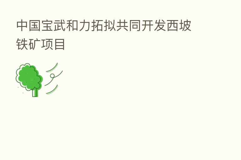 中国宝武和力拓拟共同开发西坡铁矿项目