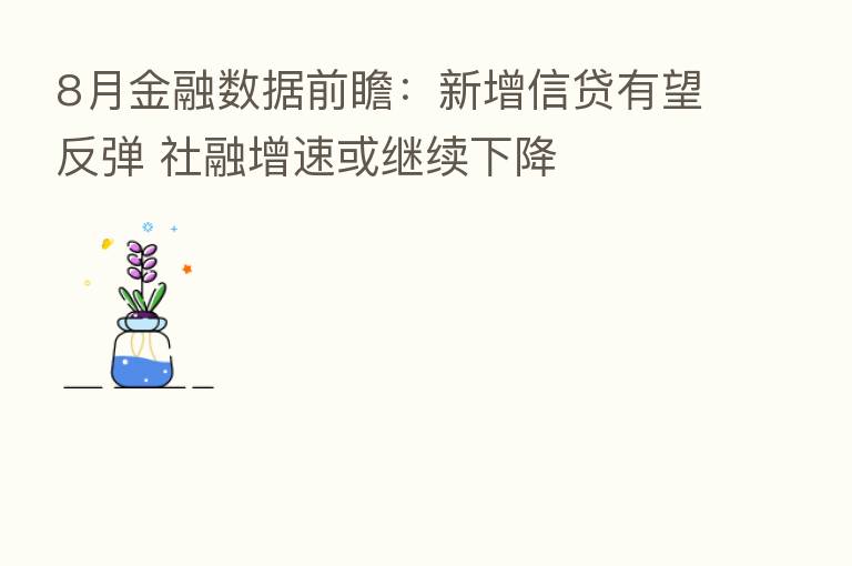 8月金融数据前瞻:新增信贷有望反弹 社融增速或继续下降