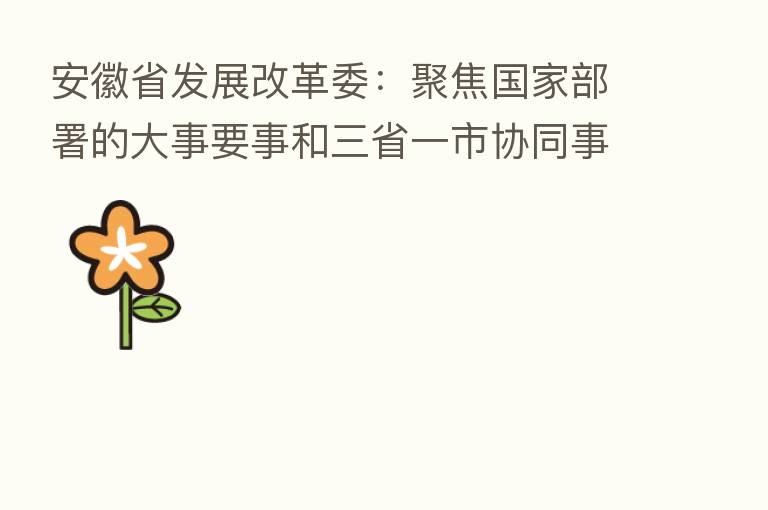 安徽省发展改革委：聚焦国家部署的大事要事和三省一市协同事项 为下一阶段推动长三角更高质量一体化发展谋清思路、谋实举措