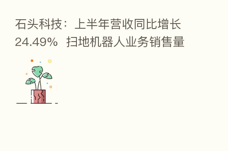 石头科技：上半年营收同比增长24.49%  扫地机器人业务销售量价齐升
