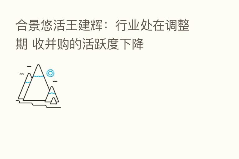 合景悠活王建辉：行业处在调整期 收并购的活跃度下降