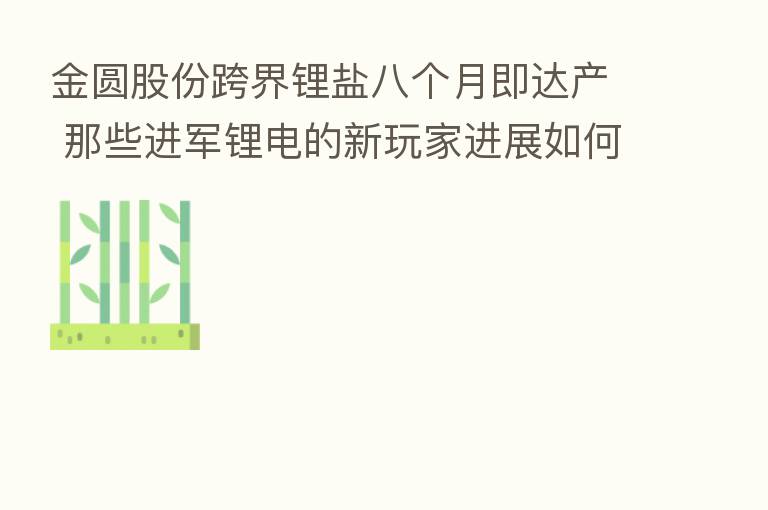 金圆股份跨界锂盐八个月即达产 那些进军锂电的新玩家进展如何？