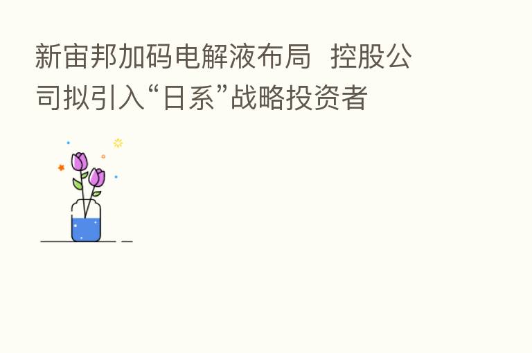 新宙邦加码电解液布局 控股公司拟引入“日系”战略投资者