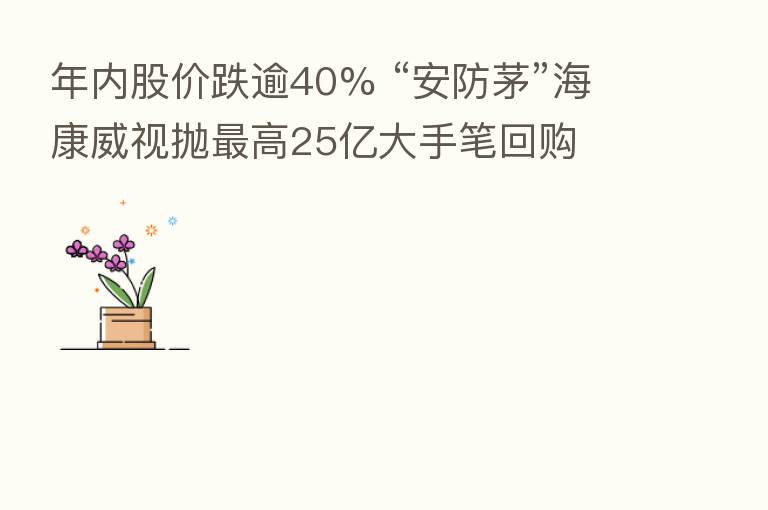年内股价跌逾40% “安防茅”海康威视抛 高25亿大手笔回购