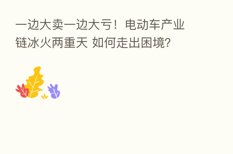 一边大卖一边大亏!电动车产业链冰火两重天 如何走出困境?