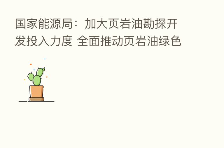 国家能源局：加大页岩油勘探开发投入力度 全面推动页岩油绿色低碳化发展
