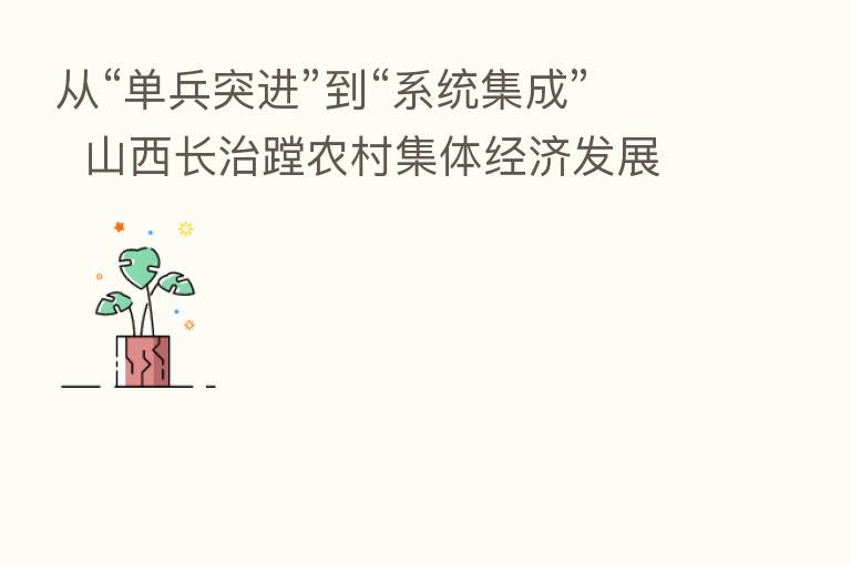 从“单兵突进”到“系统集成” 山西长治蹚农村集体经济发展新路