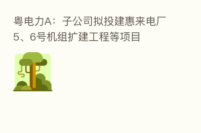 粤电力A：子公司拟投建惠来电厂5、6号机组扩建工程等项目