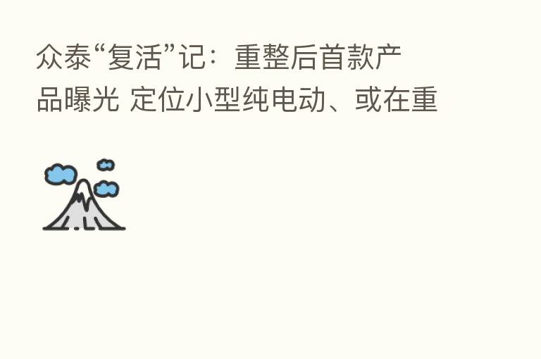 众泰“复活”记：重整后首款产品曝光 定位小型纯电动、或在重庆生产