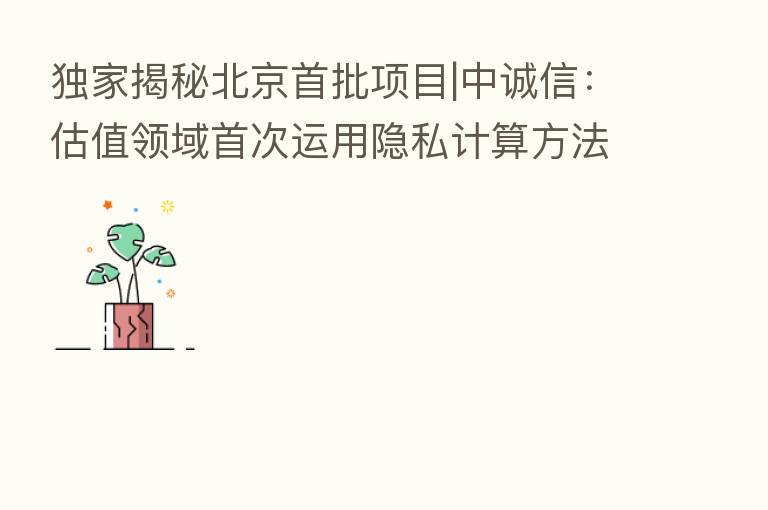 独家揭秘北京首批项目|中诚信：估值领域首次运用隐私计算方法