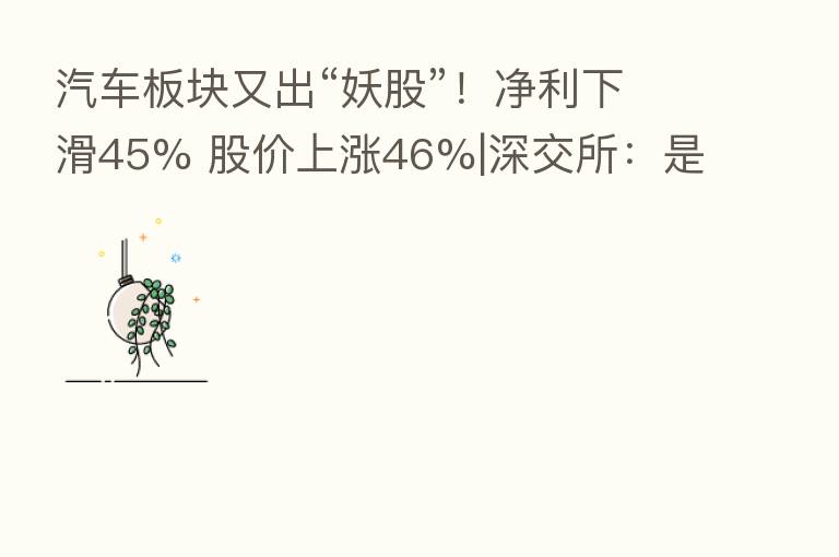 汽车板块又出“妖股”!净利下滑45% 股价上涨46%|深交所:是否违反公平披露原则?