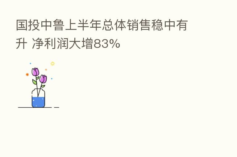 国投中鲁上半年总体销售稳中有升 净利润大增83%