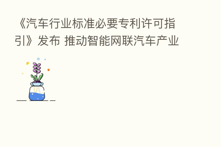 《汽车行业标准必要专利许可指引》发布 推动智能网联汽车产业健康有序发展