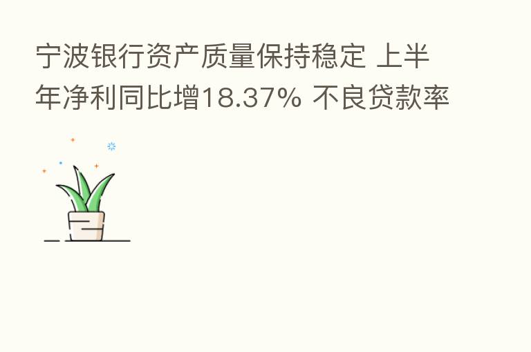 宁波银行资产质量保持稳定 上半年净利同比增18.37% 不良贷款率0.77%