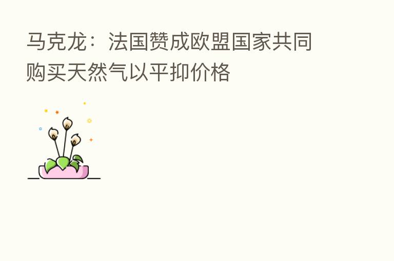 马克龙：法国赞成欧盟国家共同购买天然气以平抑价格