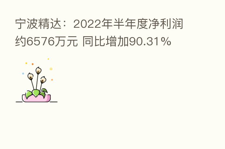 宁波精达：2022年半年度净利润约6576万元 同比增加90.31%