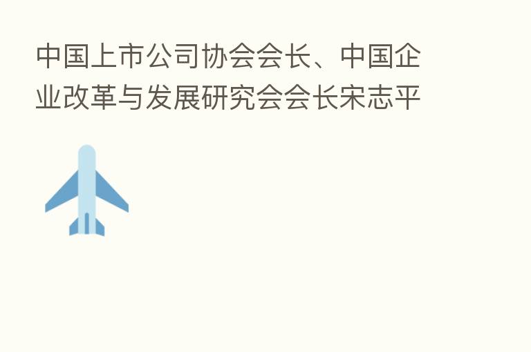中国上市公司协会会长、中国企业改革与发展研究会会长宋志平：上市公司要妥善使用衍生品工具