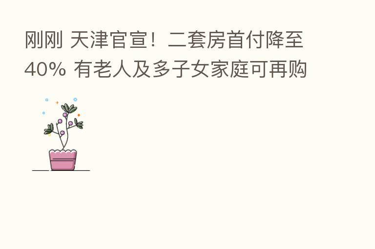 刚刚 天津官宣！二套房首付降至40% 有老人及多子女家庭可再购1套住房