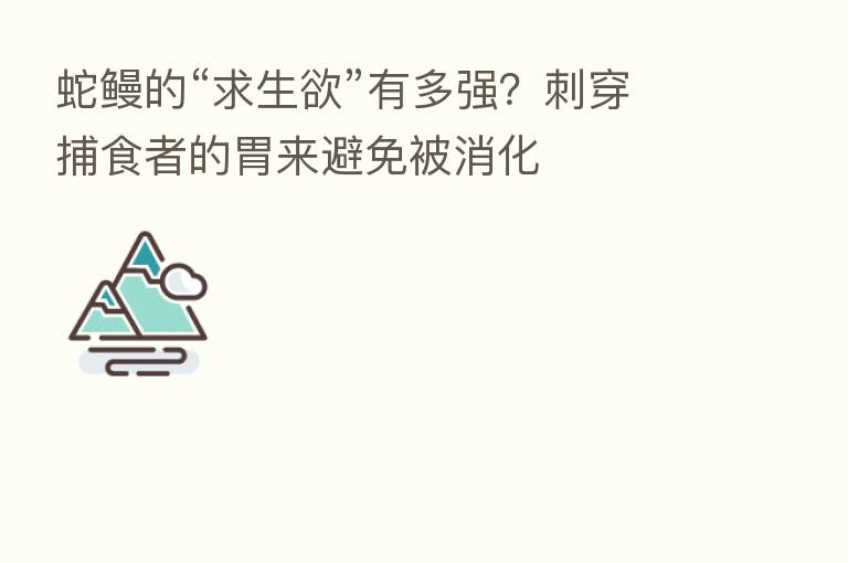 蛇鳗的“求生欲”有多强？刺穿捕食者的胃来避免被消化