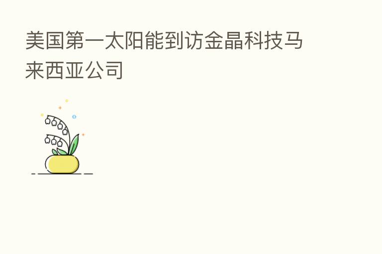 美国   一太阳能到访金晶科技马来西亚公司