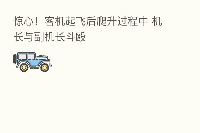 惊心!客机起飞后爬升过程中 机长与副机长斗殴