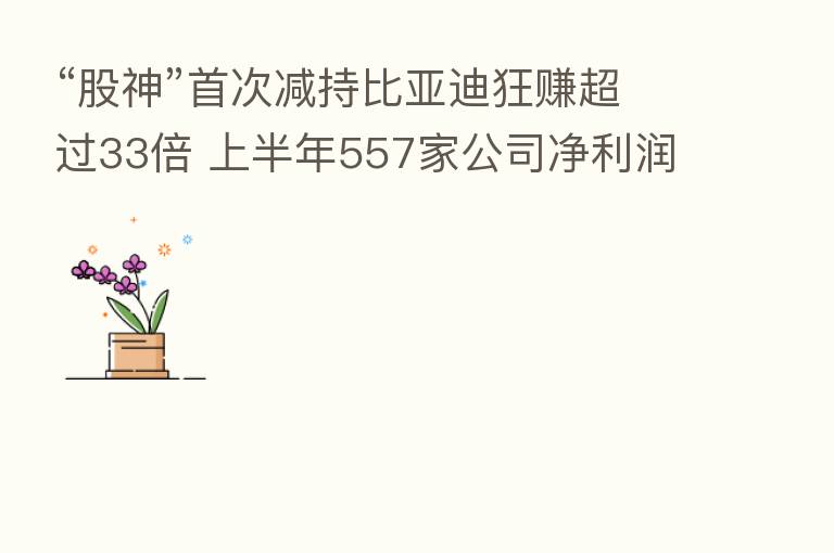 “股神”首次减持比亚迪狂赚超过33倍 上半年557家公司净利润增幅超100%
