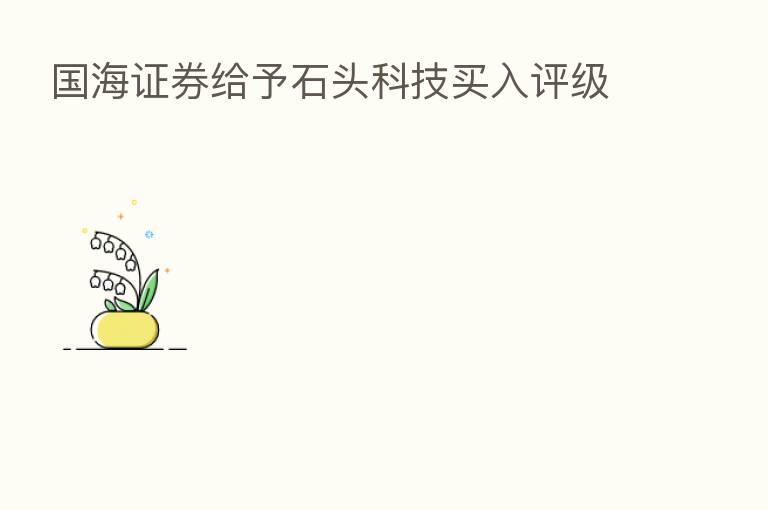 国海证券给予石头科技买入评级