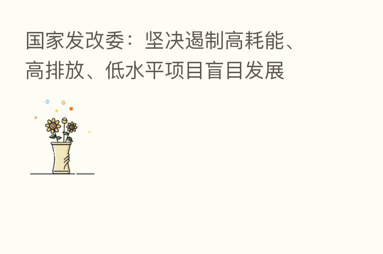 国家发改委:坚决遏制高耗能、高排放、低水平项目盲目发展