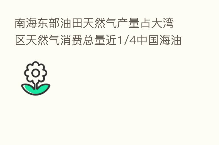 南海东部油田天然气产量占大湾区天然气消费总量近1/4中国海油:为湾区提供高品质能源