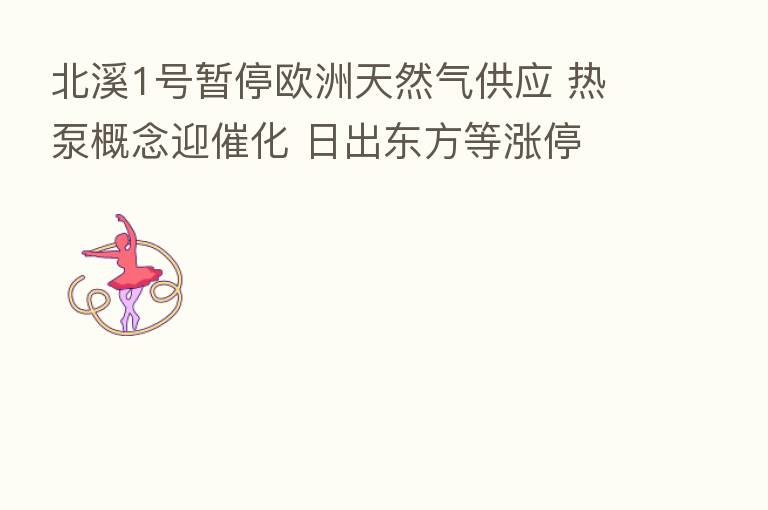 北溪1号暂停欧洲天然气供应 热泵概念迎催化 日出东方等涨停