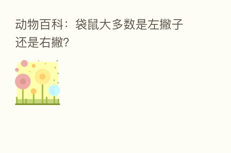 动物百科:袋鼠大多数是左撇子还是右撇?