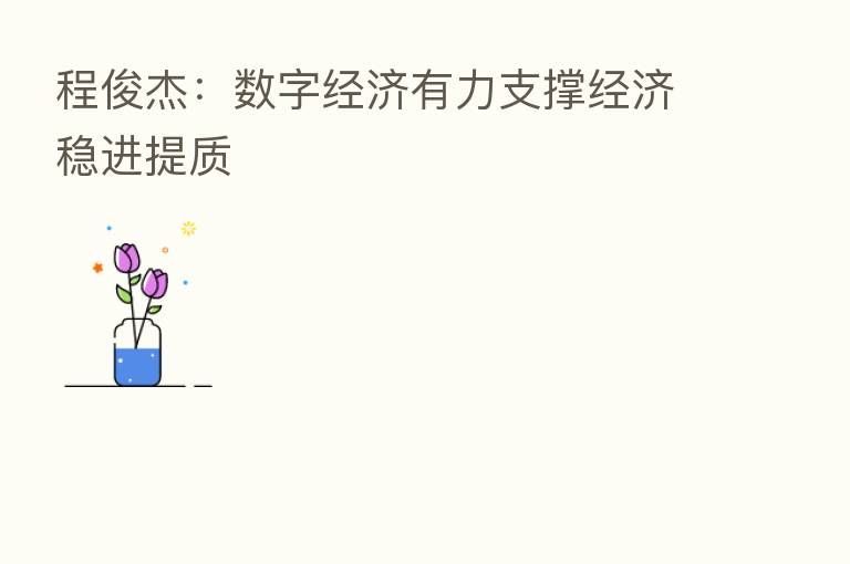 程俊杰：数字经济有力支撑经济稳进提质